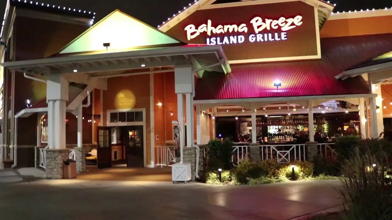 Bahama Breeze Virginia Beach Mannequin Challenge | Bahama breeze, Virginia  beach, Breeze