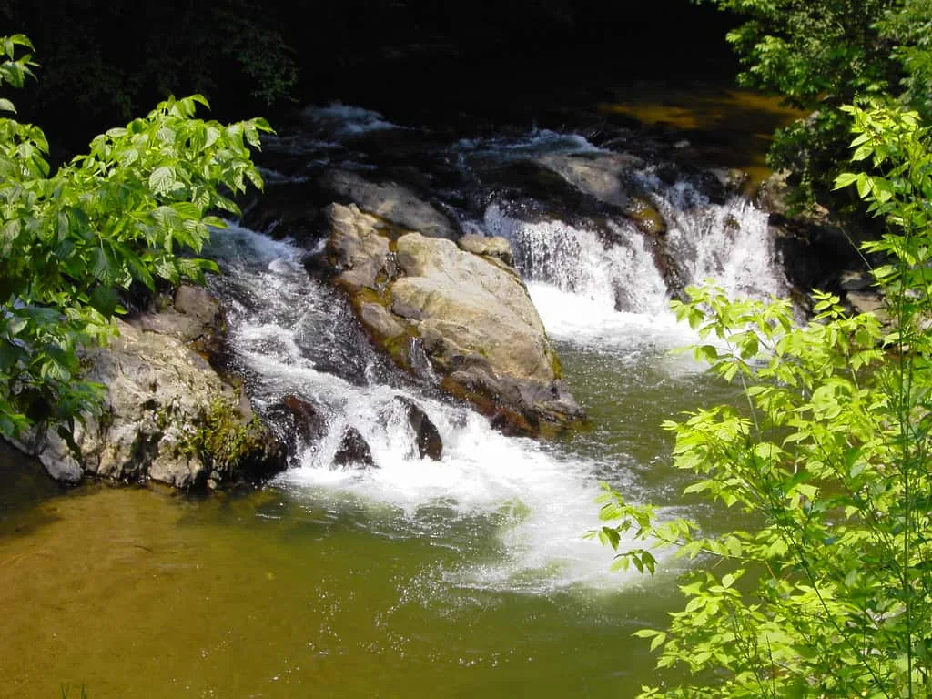 Gunpowder Falls | Part of Gunpowder Falls along the NCR Trai… | Gavin St. Ours | Flickr