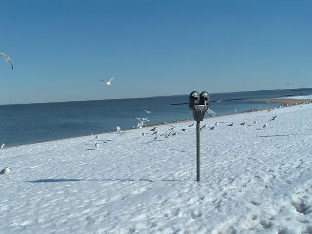 Colonial Beach Virginia, Feb-2010-Snow